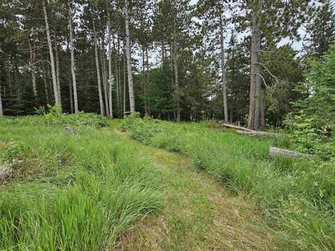 2988 CEDAR Road, ROSHOLT, WI 54473