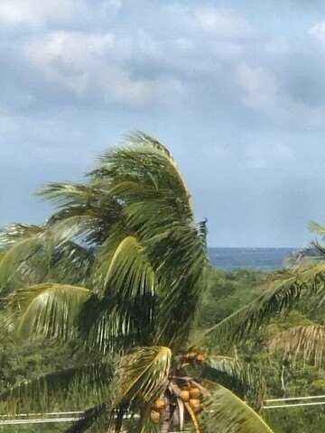 275 Palm Avenue, Jupiter, FL 33477