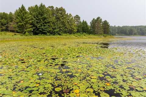 Lot 1 Turtle Lake Drive NW, Turtle Lake Twp, MN 56484