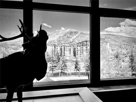 2300 MOUNT WERNER CIRCLE, Steamboat Springs, CO 80487