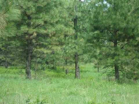 X12x Hoag Rd, Valley, WA 99181