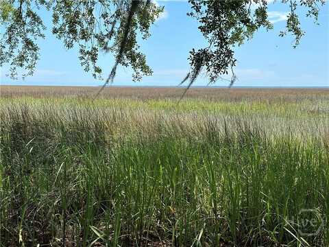Lot 1 Youmans Road, Midway, GA 31320