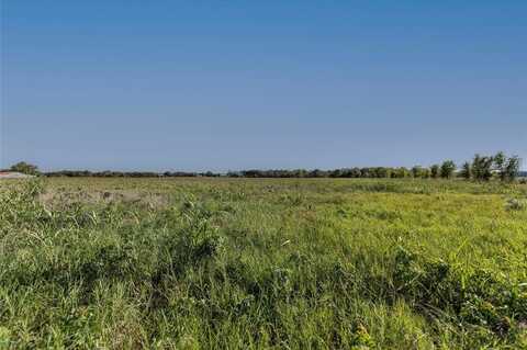 Tract 1 Nelius Road, Bellville, TX 77418