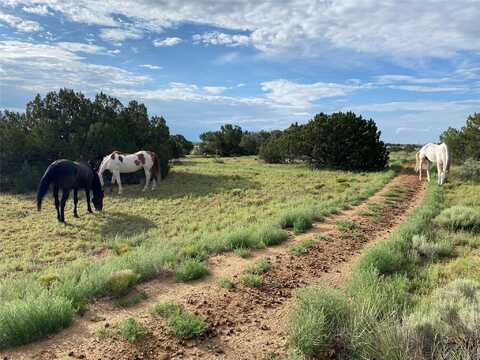 24 Lone Butte Drive, Santa Fe, NM 87508