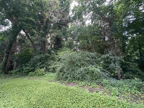 0 Riverbluff Ct, Sheffield, AL 35660