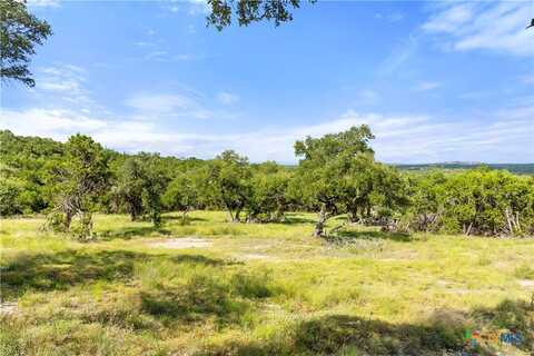 2219 Hiline Drive, Bulverde, TX 78163