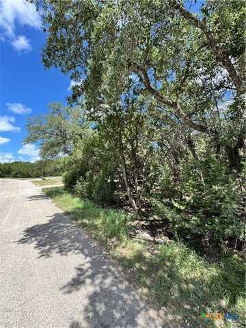 1431 Cedar Grove Trail, Spring Branch, TX 78070