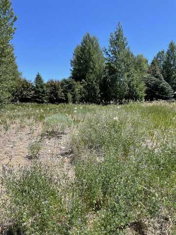 520 Angela Dr, Hailey, ID 83333