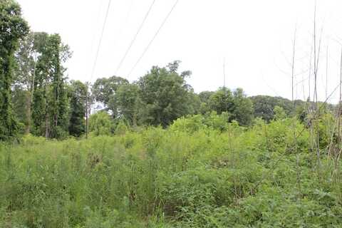 TBD Magnolia Dr, Mccomb, MS 39648