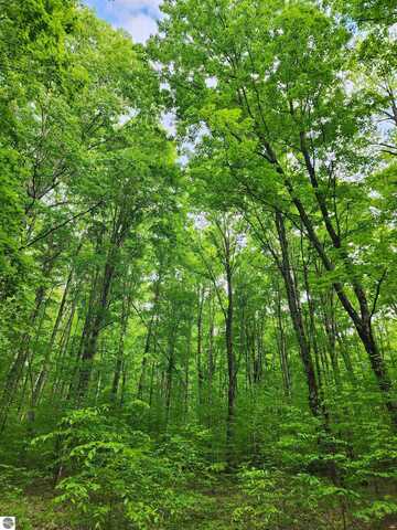 10 Acres VL Wildwood, Mancelona, MI 49659