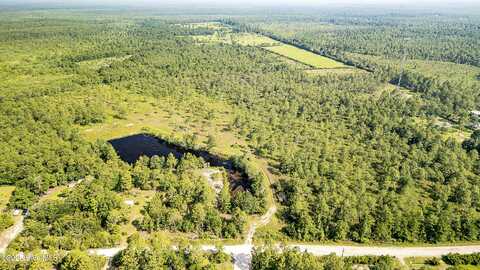 34.38 Ac Stag Drive, Hampstead, NC 28443