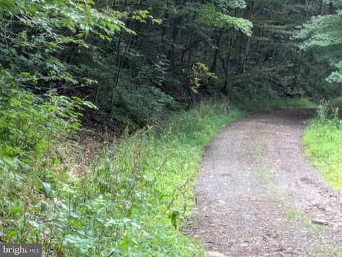 0 BERKEY HOLLOW ROAD, ALUM BANK, PA 15521
