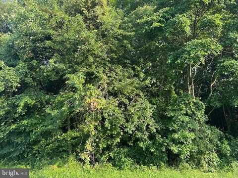0 MCCORMICK SWAMP ROAD, PRINCESS ANNE, MD 21853