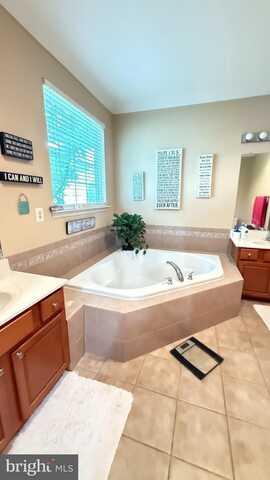 217 SMARTY JONES TERRACE, HAVRE DE GRACE, MD 21078