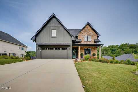 1323 Brumit Fields, Johnson City, TN 37615