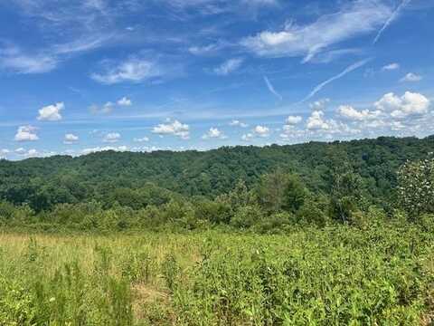 Lot 13 NE HO Allison, Baxter, TN 38506