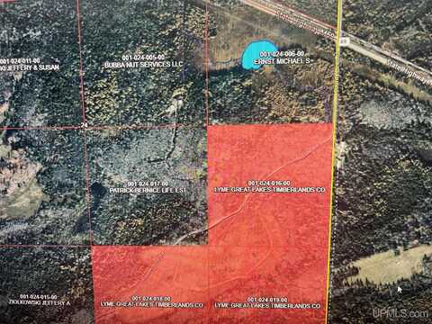 TBD County Line, Hardwood, MI 49873