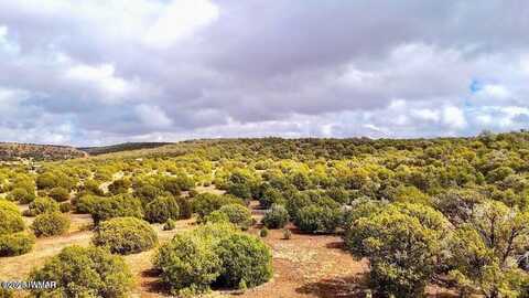 Tbd Co Rd 8256 Lot D 10 Acres, Concho, AZ 85924