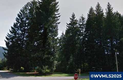 205 N Patton Rd, Detroit, OR 97342