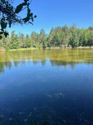 27.7 AC Damrose Drive, Atlanta, MI 49709