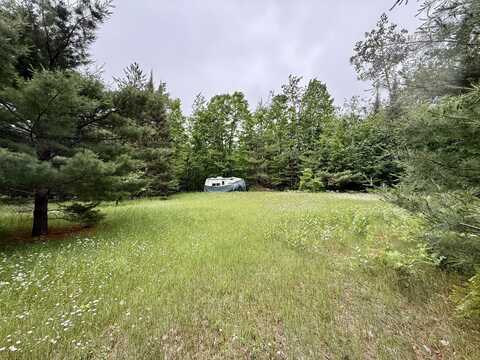 16444 Cricket Trail, Wolverine, MI 49799