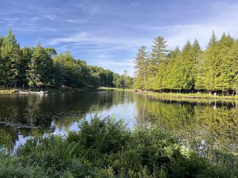 0 Beecher Park Way, Long Lake, NY 12847