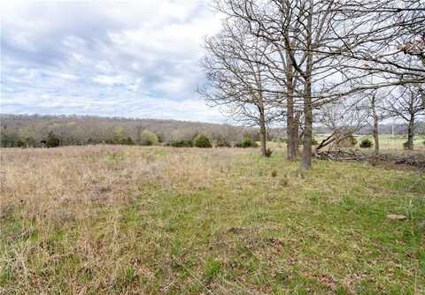 12875 S Highway 59, Lincoln, AR 72744