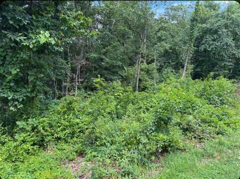 Lot 2 Baltes DR, Bella Vista, AR 72714