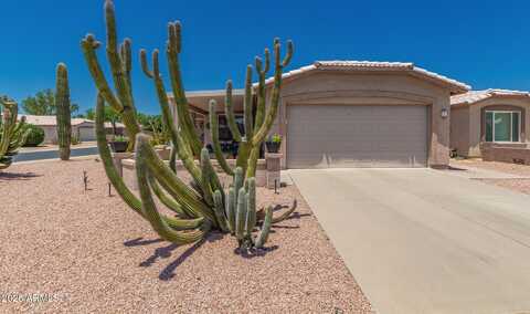1362 E Cherry Hills Drive, Chandler, AZ 85249