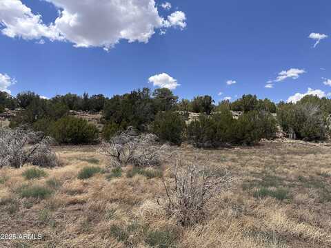 13 ACR 8122 --, Concho, AZ 85924