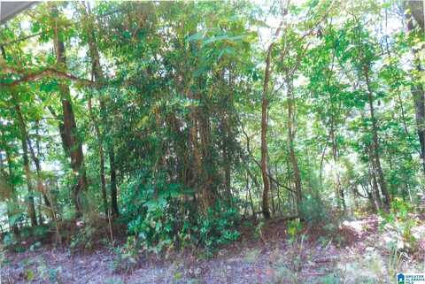 00 1ST AVENUE, PELL CITY, AL 35128