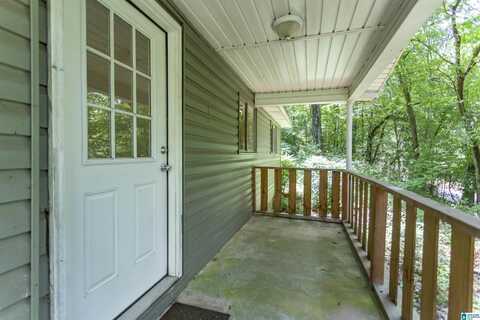 3204 SWEENEY HOLLOW ROAD, BIRMINGHAM, AL 35215