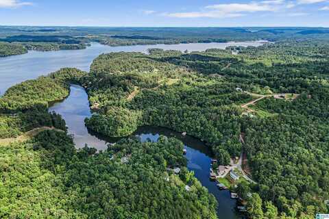 439 COUNTY ROAD 186, CLANTON, AL 35046
