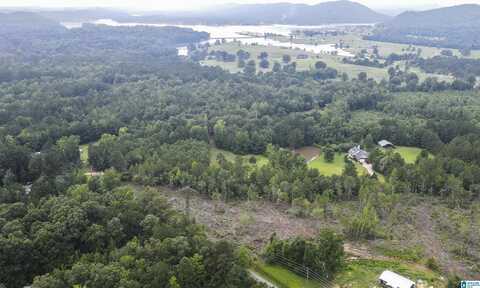 0 COCHRAN SPRINGS ROAD, OHATCHEE, AL 36271