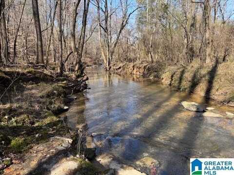 COUNTY ROAD 66, FRUITHURST, AL 36262