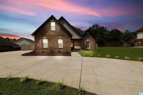 100 AMERICANA DRIVE, ODENVILLE, AL 35120