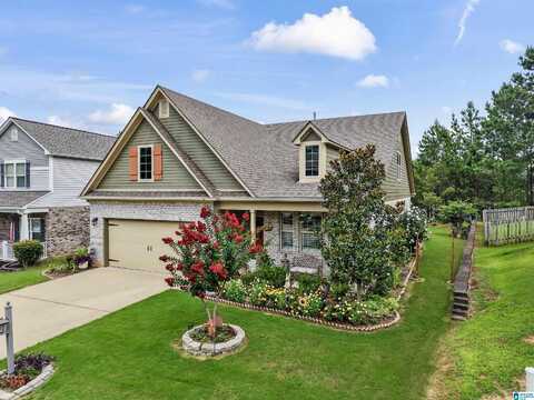 181 CHESSER LOOP ROAD, CHELSEA, AL 35043