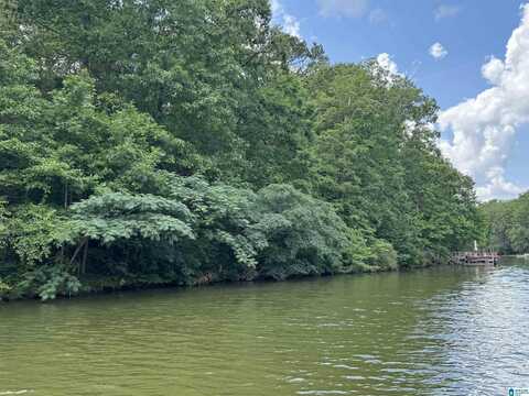 Lot 10 COUNTY ROAD 2565, WEDOWEE, AL 36278