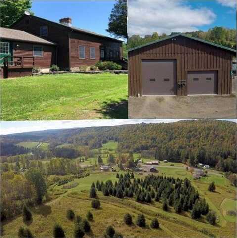 814 County Road 38, Guilford, NY 13733