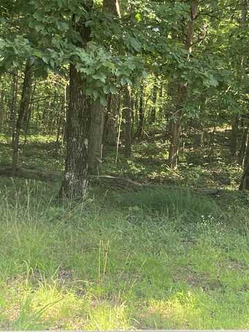 Lot 114 block12 Woodlawn Dr, Fairfield Bay, AR 72088
