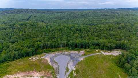 000 Big Ridge Cv, Alexander, AR 72002