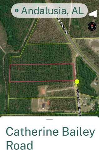00 CATHERINE BAILEY RD, Andalusia, AL 36421