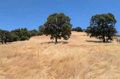 3669 Little John Road, Copperopolis, CA 95228