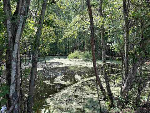 4141 Edmund Highway, West Columbia, SC 29170