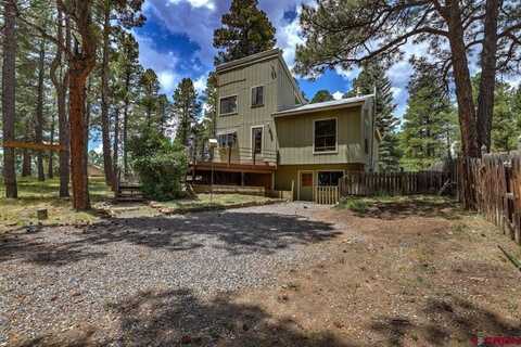 46 Carefree Place, Pagosa Springs, CO 81147