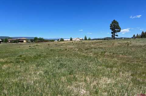 Lot 4AX Eaton Drive, Pagosa Springs, CO 81147
