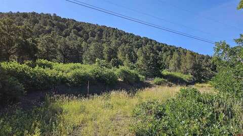 TBD Ward Creek Road, Cedaredge, CO 81413