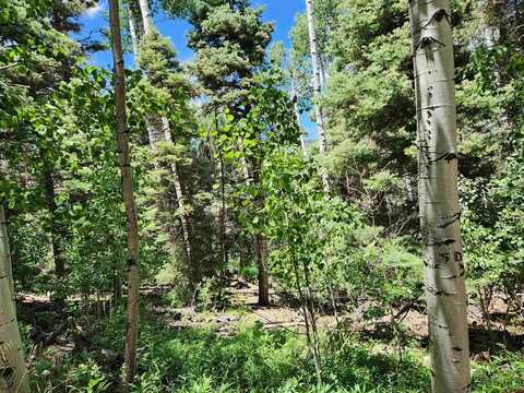 1506 Clarke Mountain Lane, Antonito, CO 81120