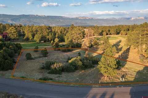 1456 Marmot Drive, Ridgway, CO 81432