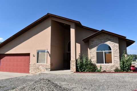 2044 Antelope Avenue, Pagosa Springs, CO 81147